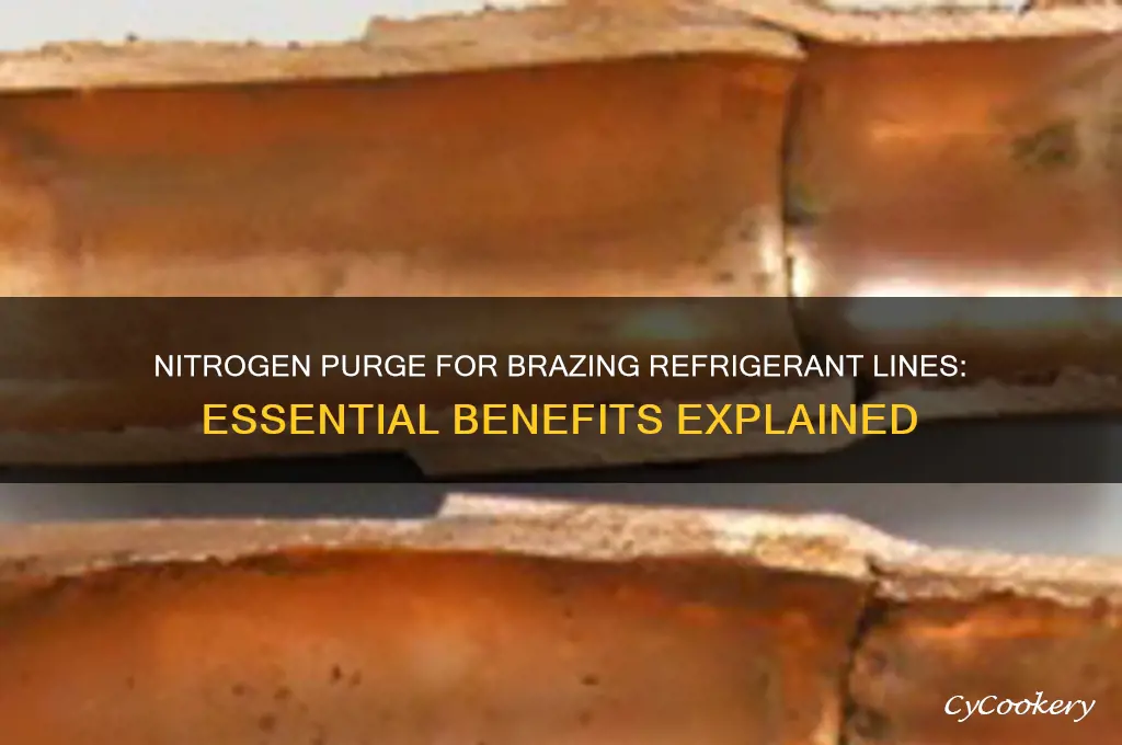 why nitrogen purge refrigerant lines when brazing