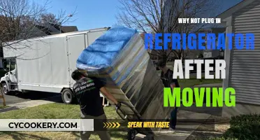 Avoid Damage: Why Not to Plug in Your Fridge After Moving