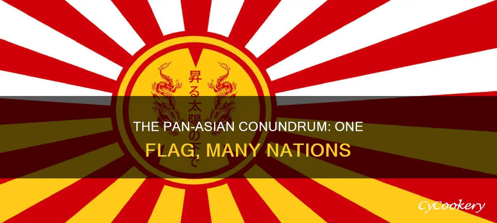 why pan asian line only gets 1 flag