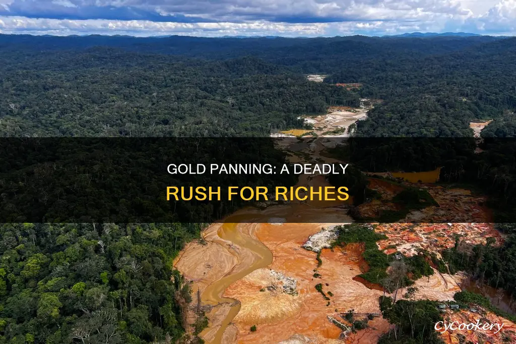 why panning for gold can kill yo