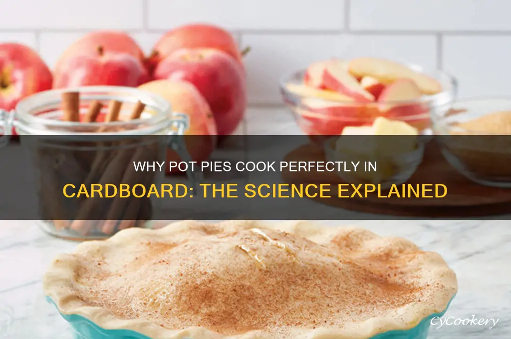 why pot pies cook in cardboard