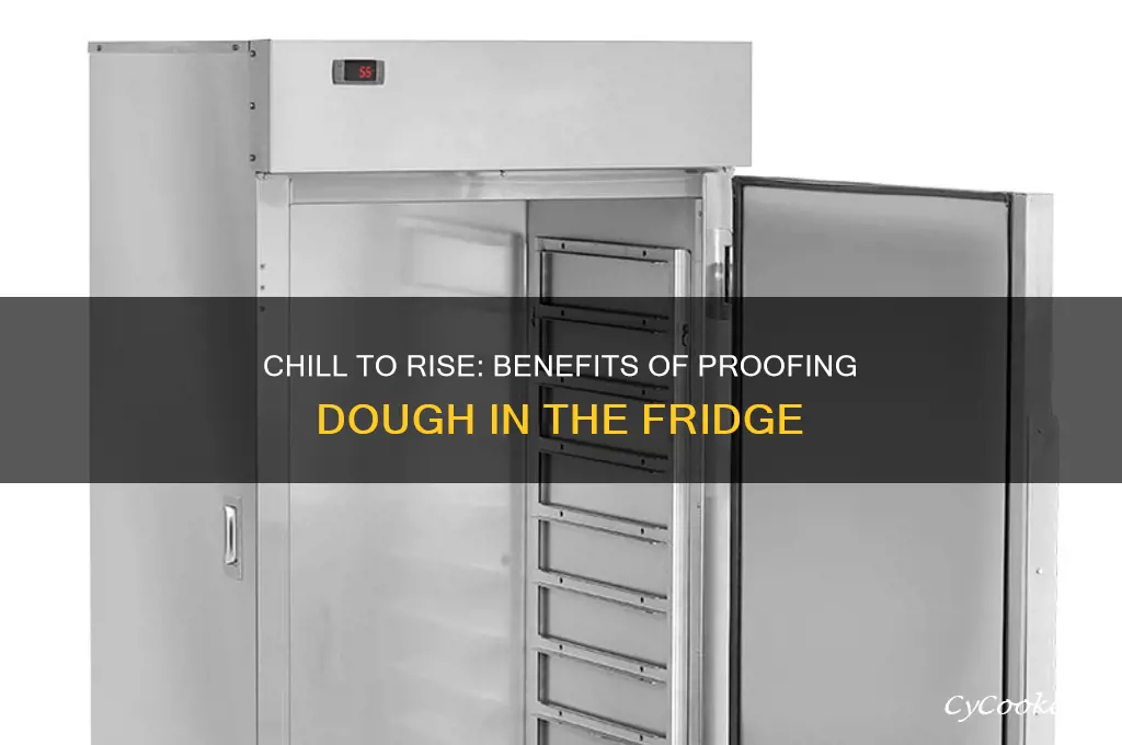 why proof dough in pan in refrigerator