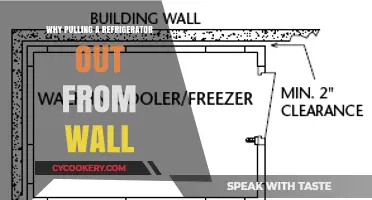 Why Pulling Your Refrigerator Out from the Wall is Essential