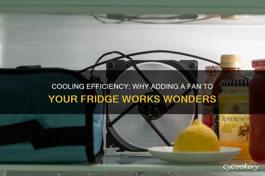 why put a fan in a refrigerator