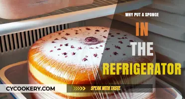 Why Put a Sponge in the Fridge? Surprising Benefits Explained