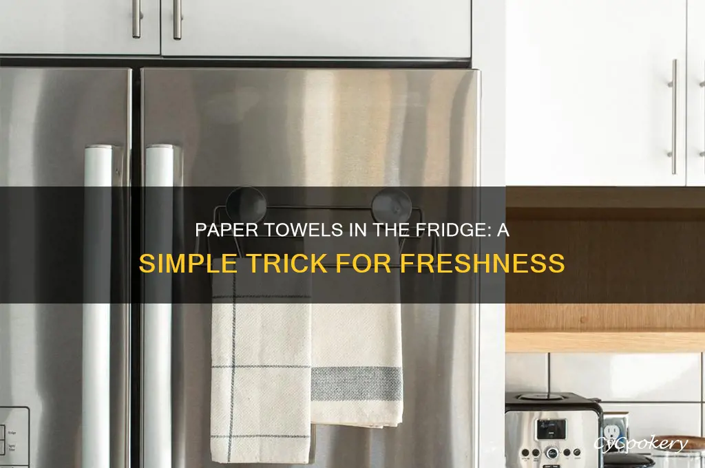 why put paper towels in the refrigerator