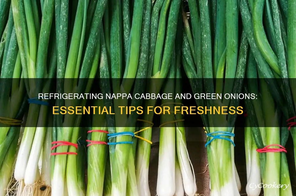 why refrigerate nappa cabage and green onion