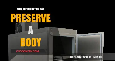 How Refrigeration Halts Decay and Preserves Human Remains Effectively