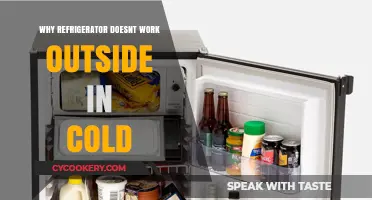Why Refrigerators Fail in Cold Weather: Understanding Outdoor Performance Issues