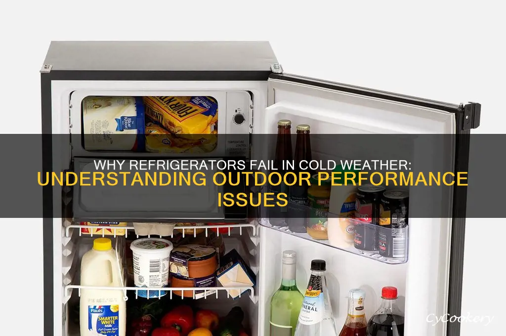 why refrigerator doesnt work outside in cold