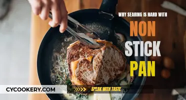 Non-Stick Pans: Poor Searing, Poor Taste