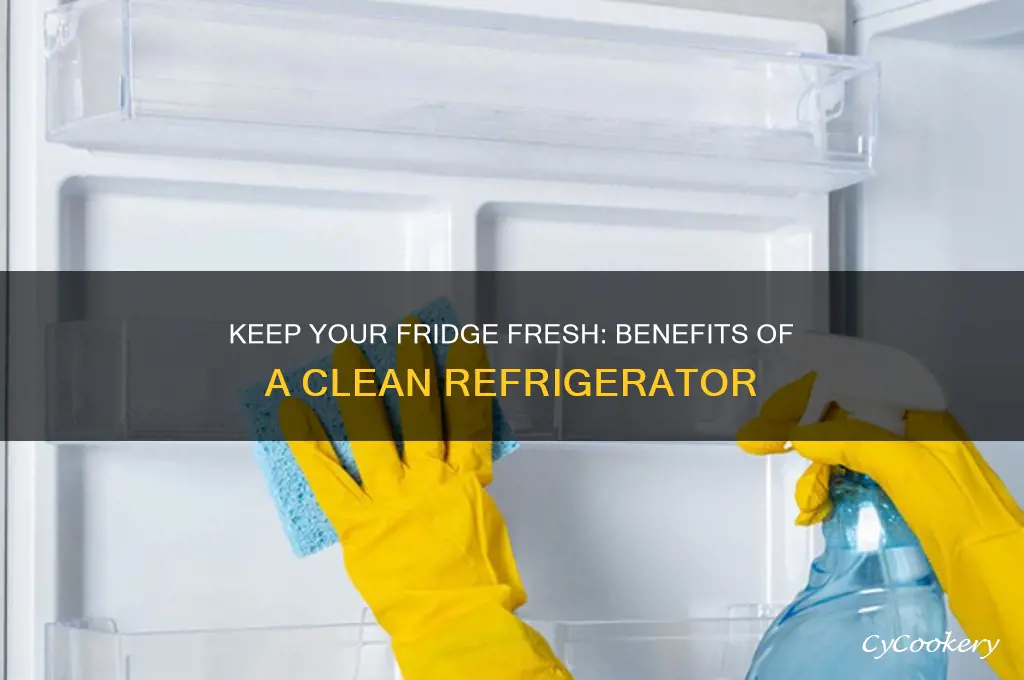 why should you have a clean refrigerator