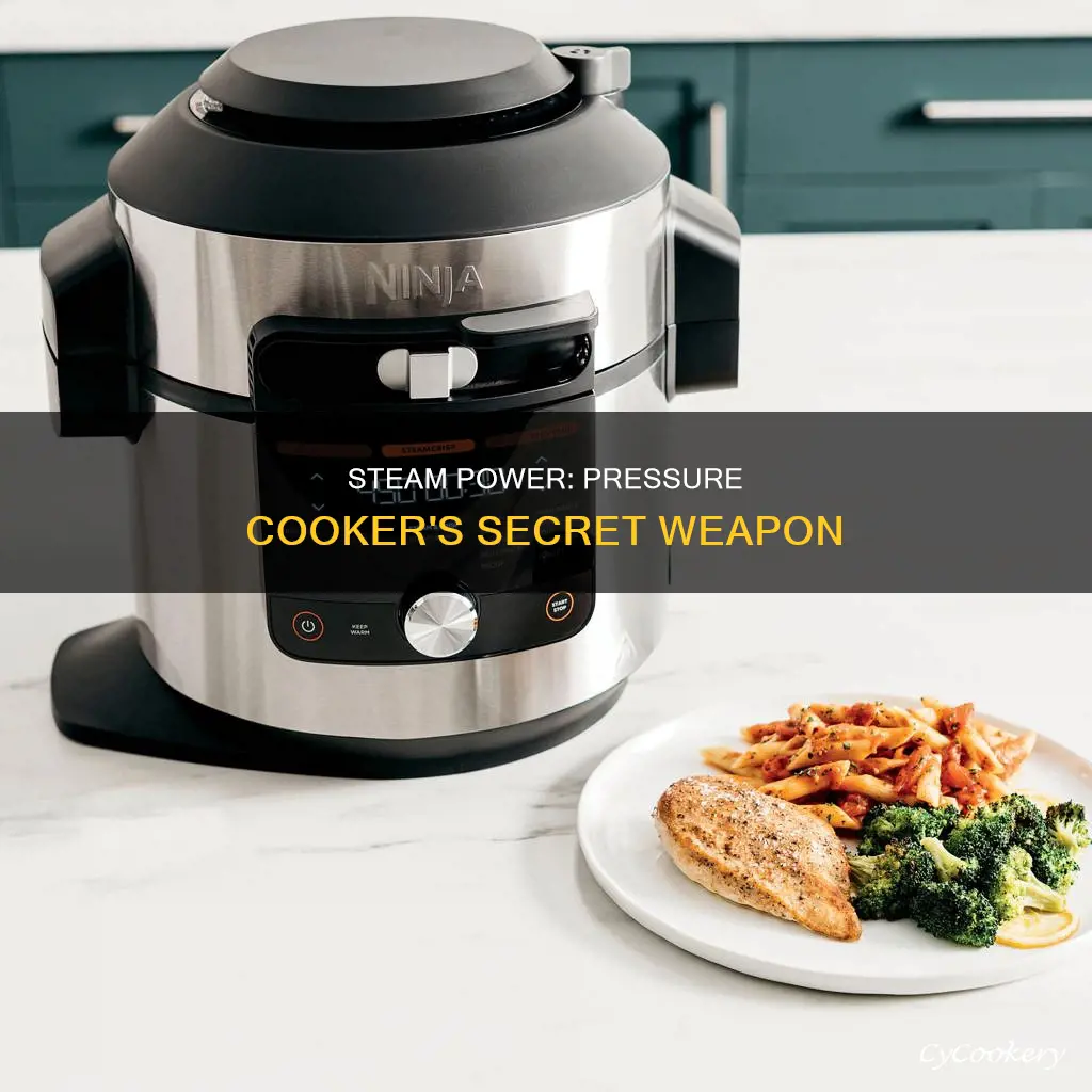 why steam in a pressure cooker