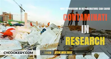 Styrofoam in Fridges: Hidden Contamination Risks for Research Integrity