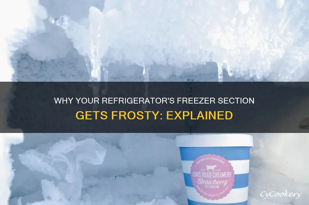 why the frozen part of the refrigerator