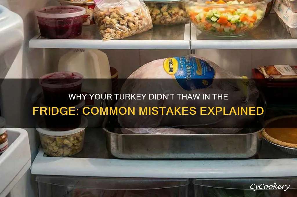 why turkey didn