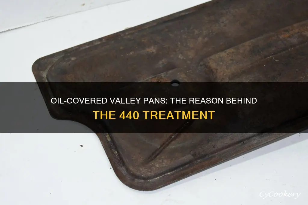 why valley pan covered in oil 440