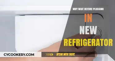 Why You Should Wait Before Plugging In Your New Refrigerator