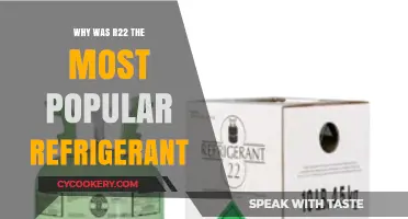 R22's Rise: The Most Popular Refrigerant's Dominance Explained