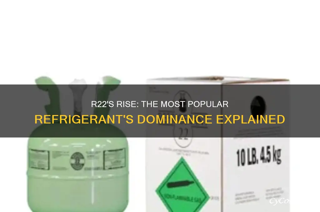 why was r22 the most popular refrigerant