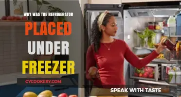 Why Refrigerators Are Traditionally Placed Below Freezers: A Design Insight