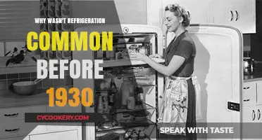 Before 1930: Why Refrigeration Wasn't a Household Norm