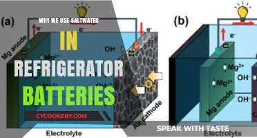 Saltwater Refrigerator Batteries: Eco-Friendly Energy Storage Explained