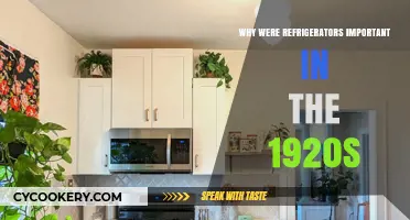 Revolutionizing Kitchens: The 1920s Refrigerator's Impact on Daily Life
