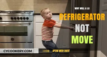 Why Your LG Refrigerator Won't Move: Troubleshooting Tips
