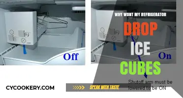 Troubleshooting Your Fridge: Why Won't My Ice Maker Drop Cubes?