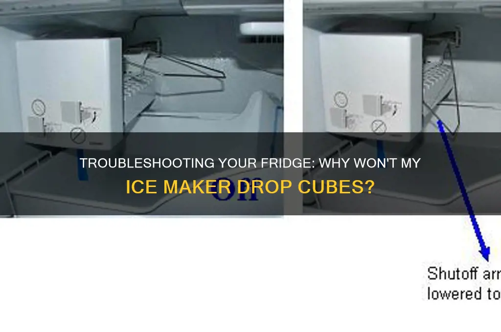 why wont my refrigerator drop ice cubes