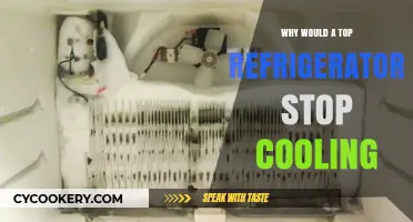 Why Your Top Refrigerator Stops Cooling: Common Causes & Fixes