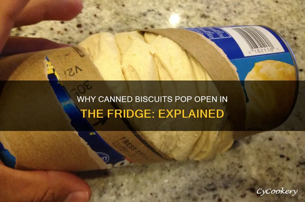 why would canned biscuits pop open in refrigerator