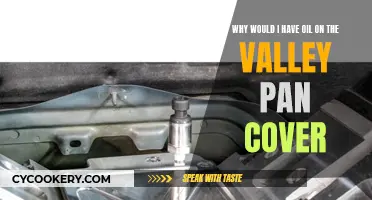 Oil on the Valley Pan Cover: What's the Cause?