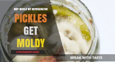 Preventing Mold in Refrigerator Pickles: Common Mistakes and Solutions