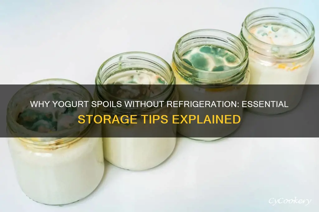 why yogurt can spoil if not refrigerated