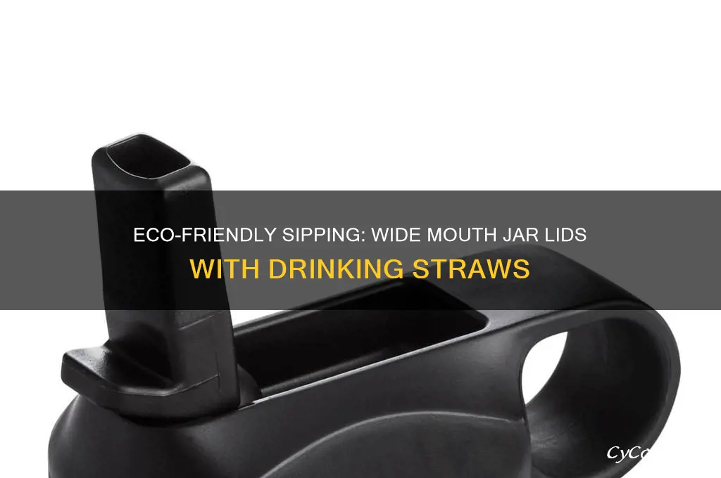 wide mouth jar lids drinking straw