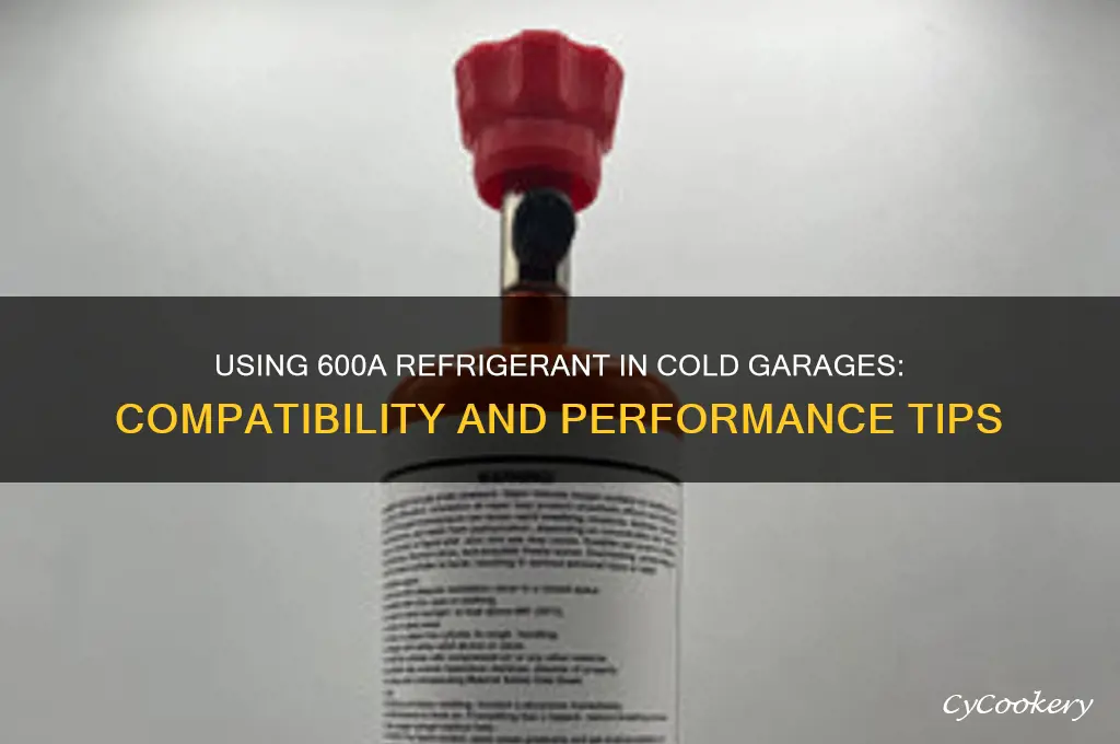 will 600a refrigerant work in cold garage