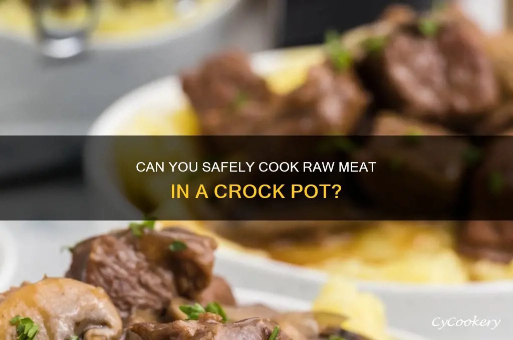 will a crock pot cook raw meat