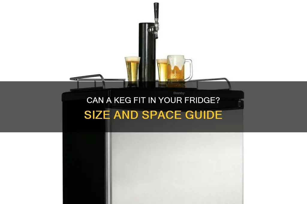 will a keg fit in a refrigerator
