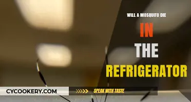 Can Mosquitoes Survive in Your Fridge? The Chilling Truth Revealed