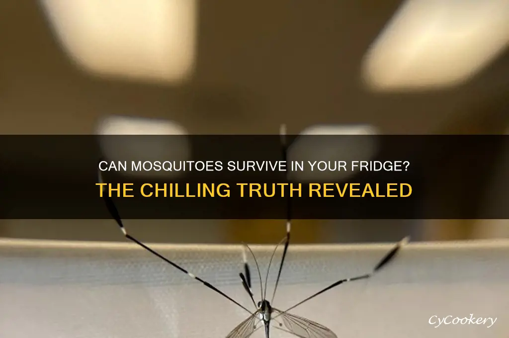 will a mosquito die in the refrigerator