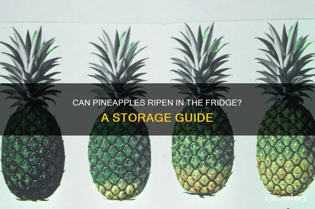 will a pineapple ripen in the refrigerator