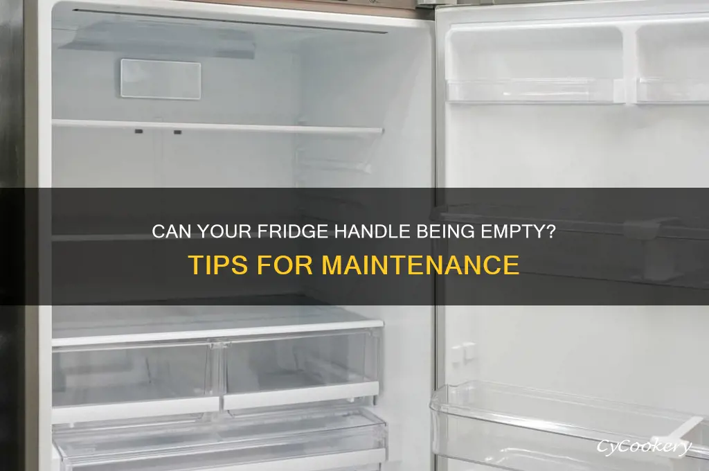 will a refrigerator be ok without food
