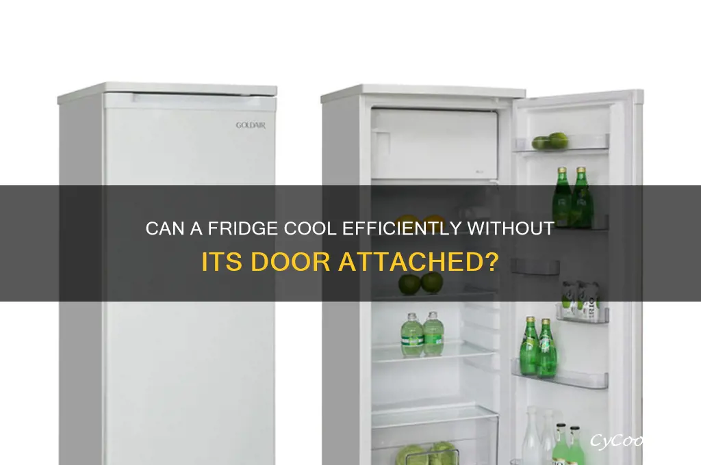 will a refrigerator cool without a door
