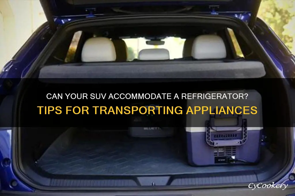 will a refrigerator fit in an suv