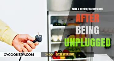Does Your Fridge Function After Unplugging? Quick Recovery Tips