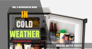 Refrigerator Efficiency in Cold Climates: Does Temperature Impact Performance?
