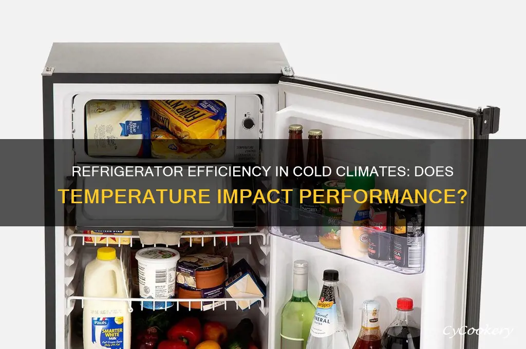 will a refrigerator work in cold weather