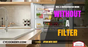 Can Your Fridge Function Properly Without a Water Filter?
